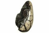 Free-Standing, Polished Septarian Geode - Black Crystals #219097-2